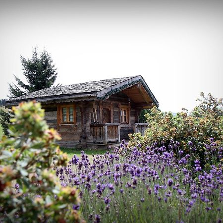 Hôtel Le Manoir des Montagnes Les Rousses Extérieur photo